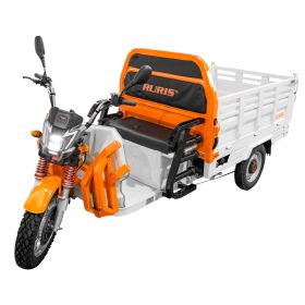 Triciclu electric Cargo RURIS PILOT3130A H