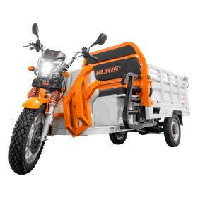 Triciclu electric Cargo RURIS PILOT3130A H