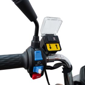 Triciclu electric Cargo RURIS PILOT3130G H