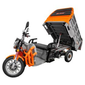 Triciclu electric Cargo RURIS PILOT3130G H