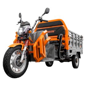 Triciclu electric Cargo RURIS PILOT3130G H