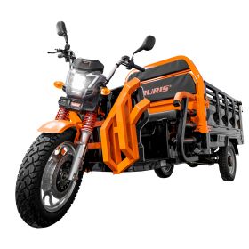 Triciclu electric Cargo RURIS PILOT3130N H