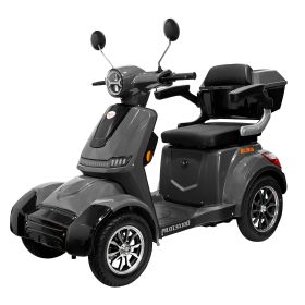 Scuter Electric Pilot SX110 G