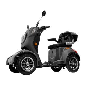 Scuter Electric Pilot SX110 G