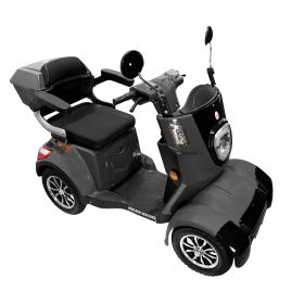 Scuter Electric Pilot SX110 G
