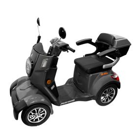 Scuter Electric Pilot SX110 G
