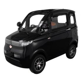 Masina Electrica RURIS Pilot GT 700 Negru 2000 W