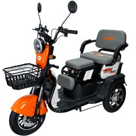 Triciclu electric Cargo RURIS PILOT 3010 N 1600 W