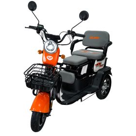 Triciclu electric Cargo RURIS PILOT 3010 A 1600 W