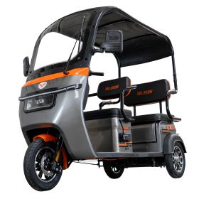 Triciclu electric Cargo RURIS PILOT 3070 G 2900 W