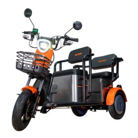 Triciclu electric Cargo RURIS PILOT 3020 G 2000 W