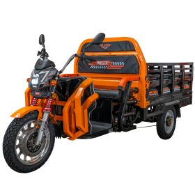 Triciclu electric Cargo RURIS PILOT 3130 N  3600 W