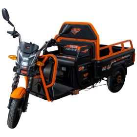 Triciclu electric Cargo RURIS PILOT 3110 N 2000 W