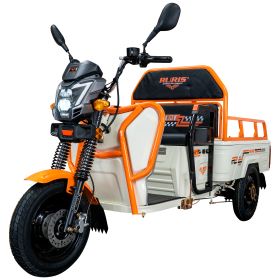 Triciclu electric Cargo RURIS PILOT 3110 A 2000 W