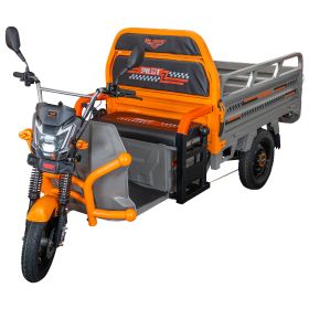 Triciclu electric Cargo RURIS PILOT 3120 G 2000 W