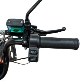 Triciclu electric Cargo RURIS PILOT 3020 A 2000 W