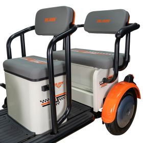 Triciclu electric Cargo RURIS PILOT 3020 A 2000 W