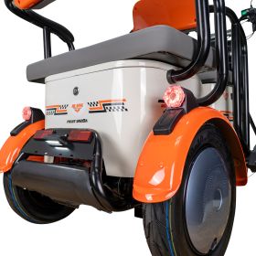 Triciclu electric Cargo RURIS PILOT 3020 A 2000 W