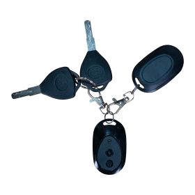 Triciclu electric Cargo RURIS PILOT 3020 G 2000 W