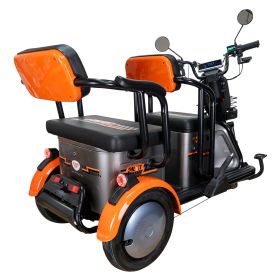 Triciclu electric Cargo RURIS PILOT 3020 G 2000 W