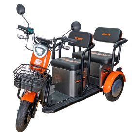 Triciclu electric Cargo RURIS PILOT 3020 G 2000 W