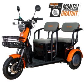 Triciclu electric Cargo RURIS PILOT 3020 N 2000 W