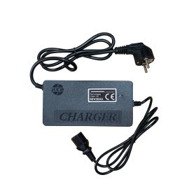 Triciclu electric Cargo RURIS PILOT 3020 N 2000 W