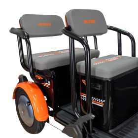 Triciclu electric Cargo RURIS PILOT 3020 N 2000 W