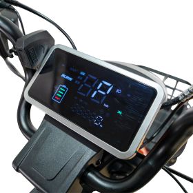 Triciclu electric Cargo RURIS PILOT 3020 N 2000 W