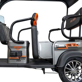 Triciclu electric Cargo RURIS PILOT 3070 G 2900 W