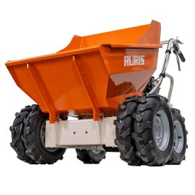 Roaba autopropulsata RURIS  RTS 6000  7 CP