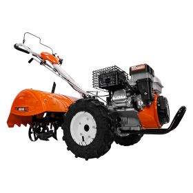 Motosapa RURIS 5900 R + roti cauciuc 5.00-6 7 CP