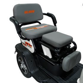 Triciclu electric Cargo RURIS PILOT 3010 A 1600 W