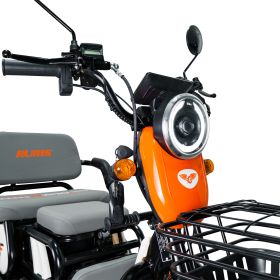Triciclu electric Cargo RURIS PILOT 3010 N 1600 W