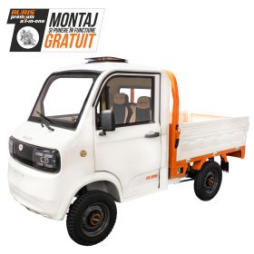 Camioneta elecrica RURIS PILOT 5000 S Alb  4900 W