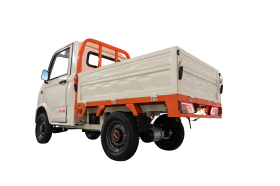 Camioneta elecrica RURIS PILOT 5000 S Alb  4900 W