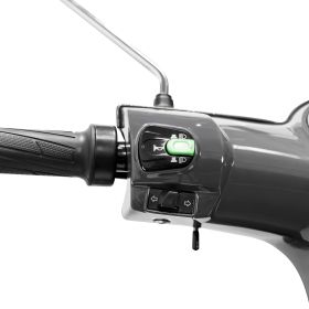 Scuter Electric Pilot SX 100 G 1300 W