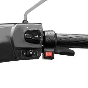Scuter Electric Pilot SX 100 G 1300 W