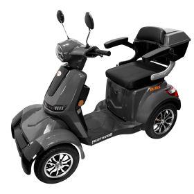 Scuter Electric Pilot SX 100 G 1300 W