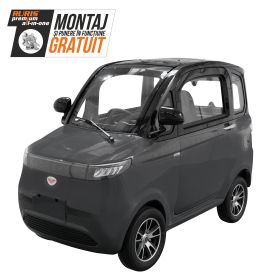 Masina Electrica RURIS Pilot GT 700 Gri 2000 W