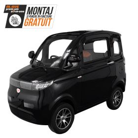 Masina Electrica RURIS Pilot GT 700 Negru 2000 W