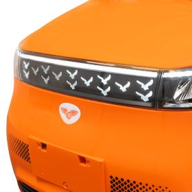 Masina Electrica RURIS Pilot GT 700 P 2000 W